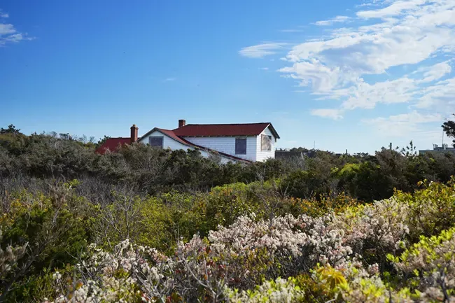 A view of the Carrington house beneath a big blue sky. The house has white siding and a red roof with two chimneys and is surrounded by thick, green bushes.